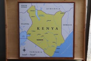 Local Mahogany-Framed Kenya Map